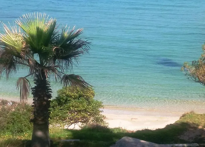 Renove 2021 Avec Balcon Et Garage, Proche Golf, 3 Pieces, 6 Couchages, Le Lavandou. - Fr-1-251-425